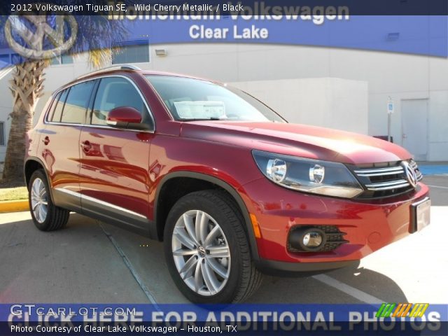 2012 Volkswagen Tiguan SE in Wild Cherry Metallic