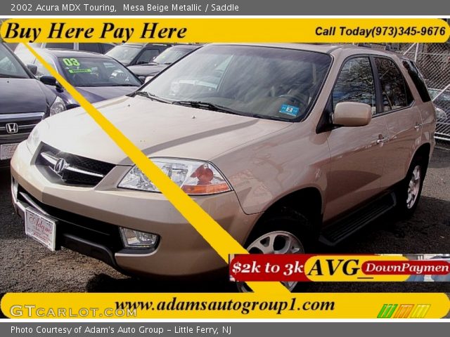 2002 Acura MDX Touring in Mesa Beige Metallic