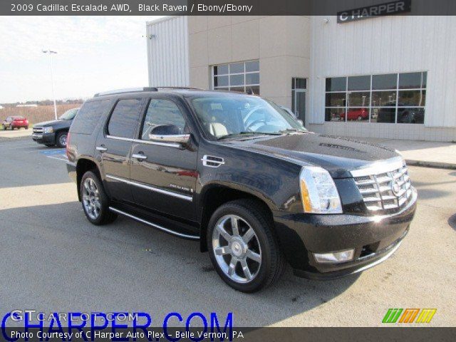 2009 Cadillac Escalade AWD in Black Raven