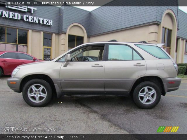 2001 Lexus RX 300 in Burnished Gold Metallic