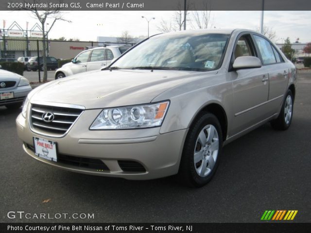 2009 Hyundai Sonata GLS in Camel Pearl