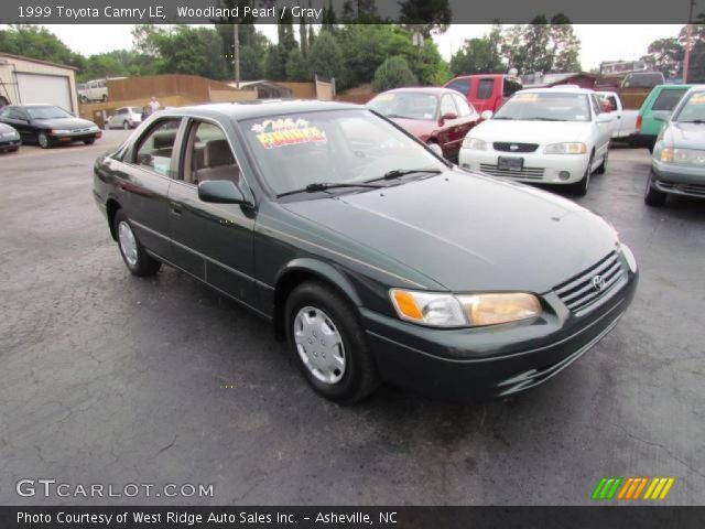 1999 Toyota Camry LE in Woodland Pearl