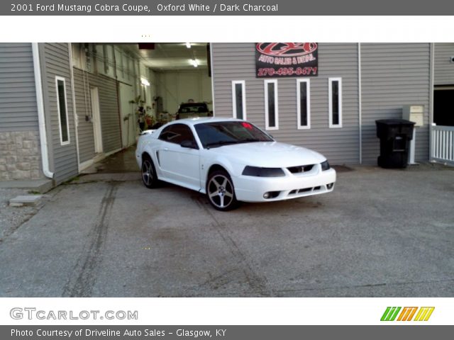 2001 Ford Mustang Cobra Coupe in Oxford White