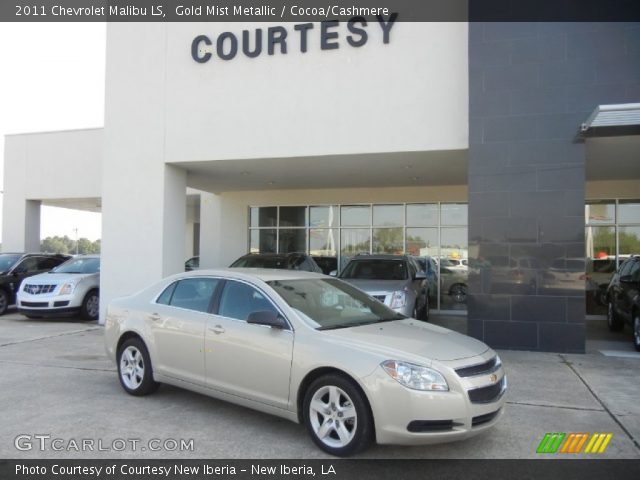 2011 Chevrolet Malibu LS in Gold Mist Metallic