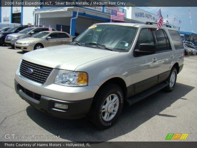 2006 Ford Expedition XLT in Silver Birch Metallic