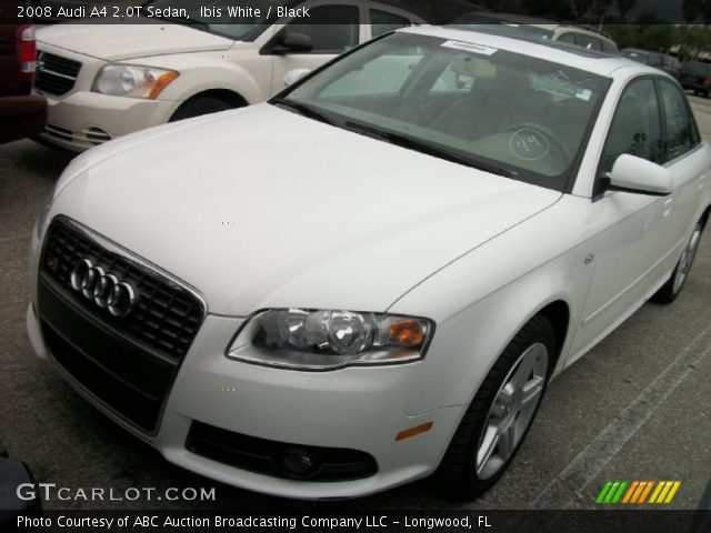 2008 Audi A4 2.0T Sedan in Ibis White