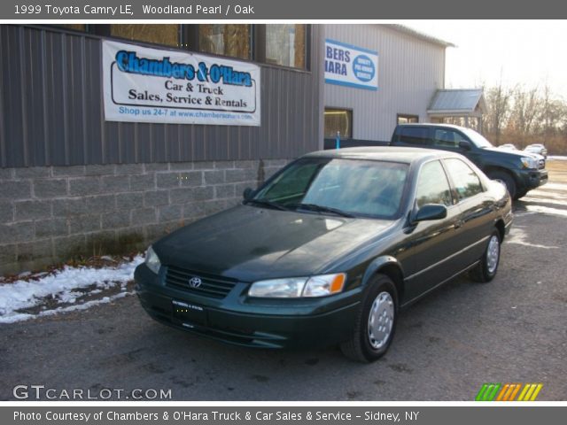 1999 Toyota Camry LE in Woodland Pearl