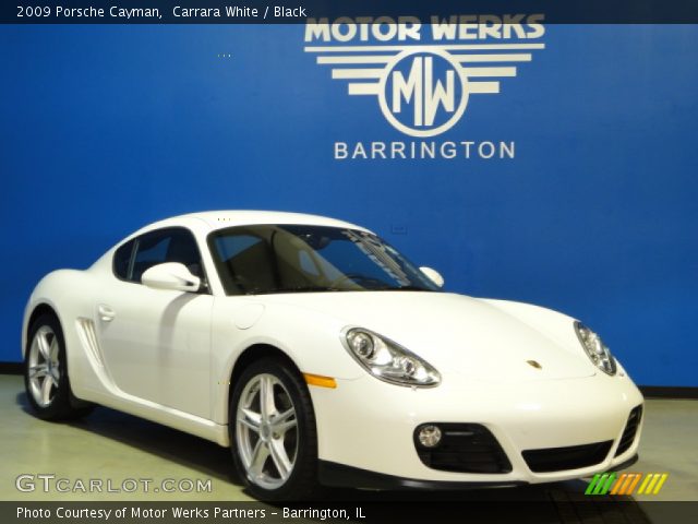 2009 Porsche Cayman  in Carrara White