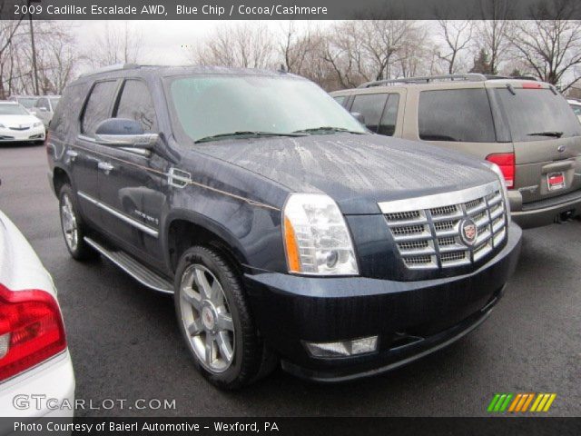 2009 Cadillac Escalade AWD in Blue Chip