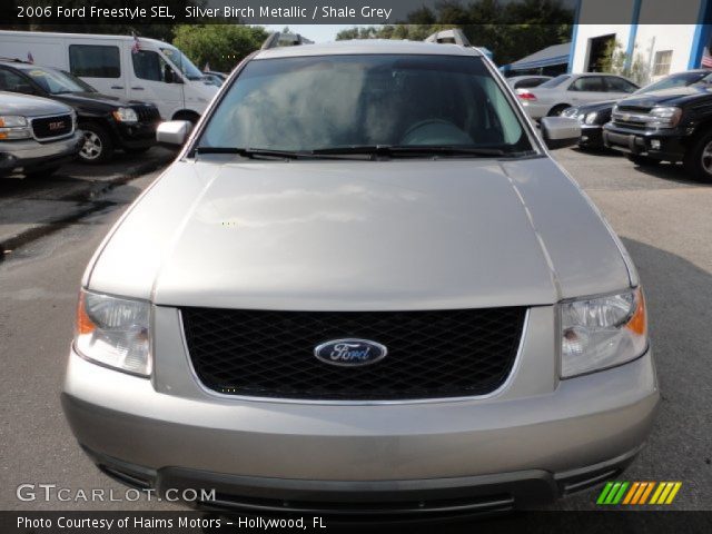 2006 Ford Freestyle SEL in Silver Birch Metallic