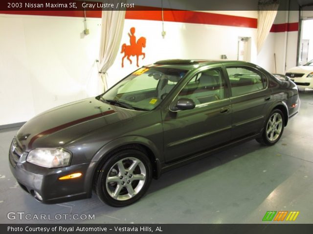 2003 Nissan Maxima SE in Gray Lustre