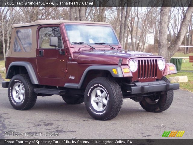 2001 Jeep Wrangler SE 4x4 in Sienna Pearl
