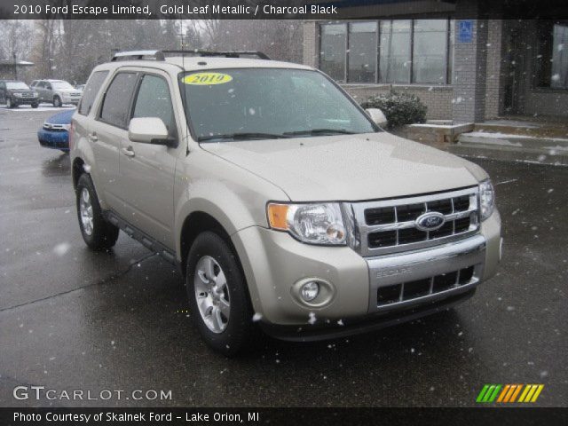 2010 Ford Escape Limited in Gold Leaf Metallic