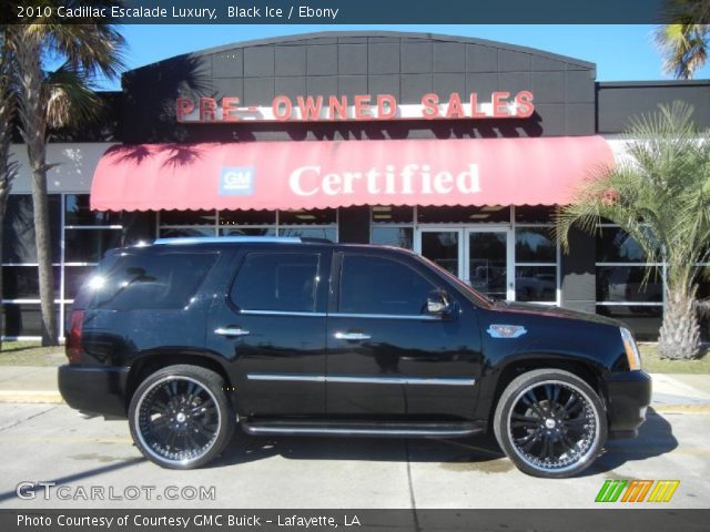 2010 Cadillac Escalade Luxury in Black Ice