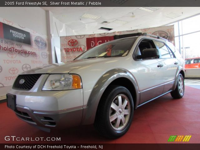 2005 Ford Freestyle SE in Silver Frost Metallic