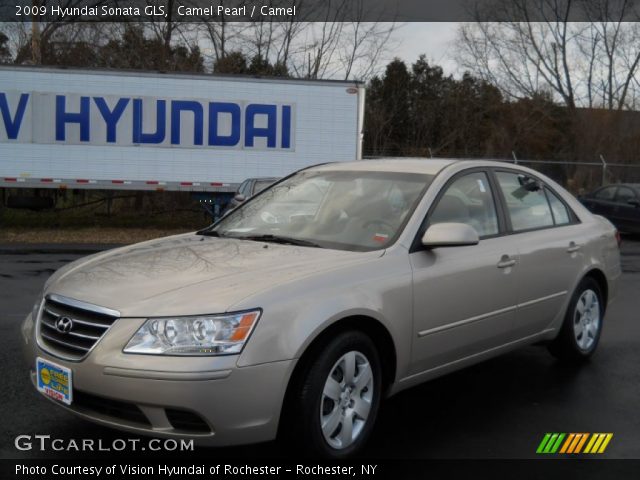 2009 Hyundai Sonata GLS in Camel Pearl