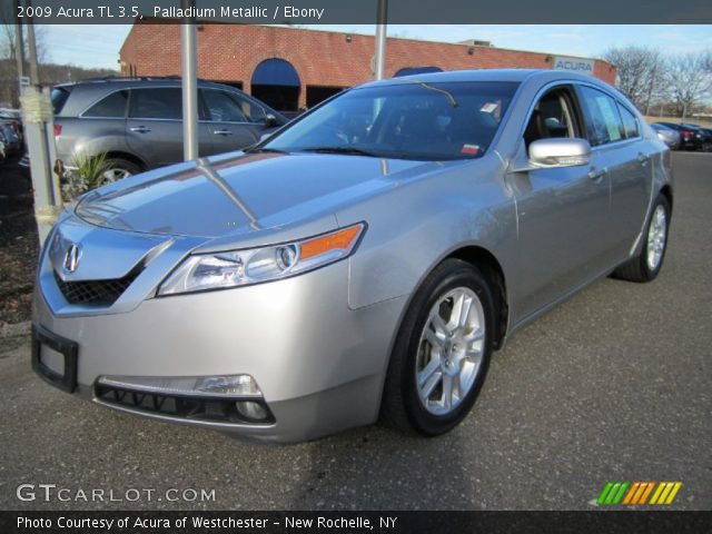 2009 Acura TL 3.5 in Palladium Metallic