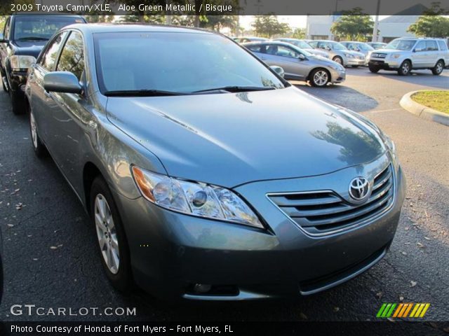 2009 Toyota Camry XLE in Aloe Green Metallic