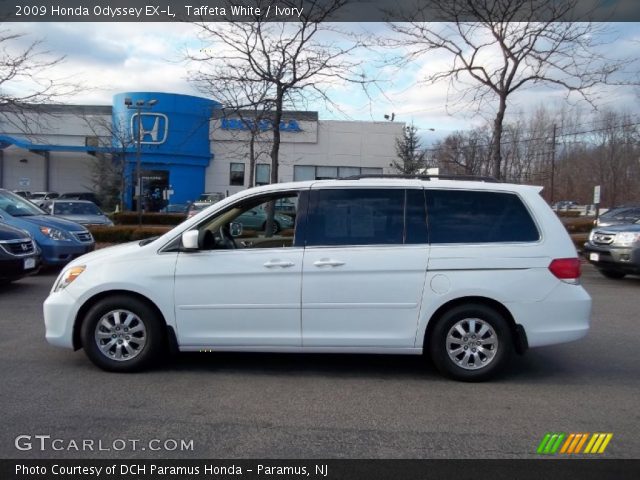 2009 Honda Odyssey EX-L in Taffeta White