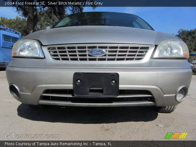 2004 Ford Freestar SE in Silver Birch Metallic
