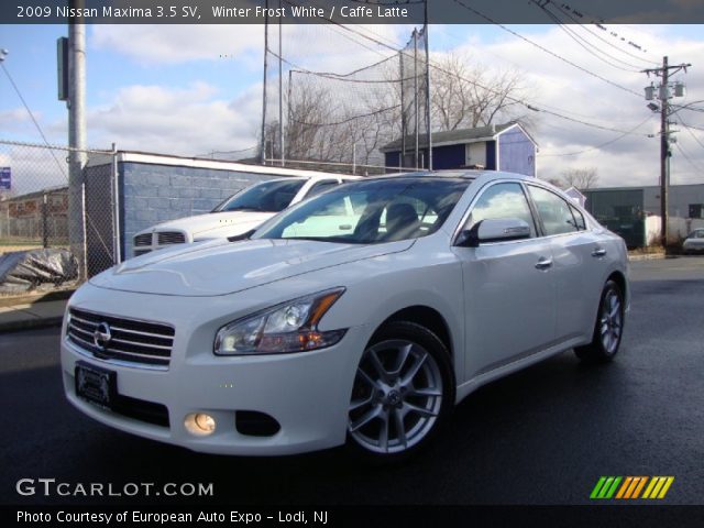 2009 Nissan Maxima 3.5 SV in Winter Frost White