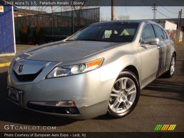 2009 Acura TL 3.5 in Palladium Metallic