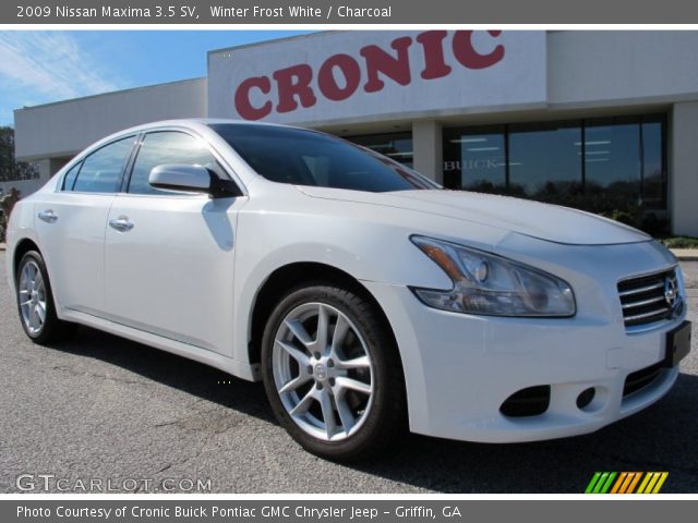 2009 Nissan Maxima 3.5 SV in Winter Frost White