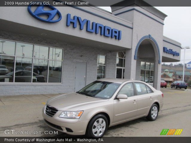 2009 Hyundai Sonata GLS in Camel Pearl