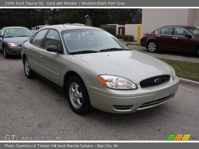 2006 Ford Taurus SE in Gold Ash Metallic