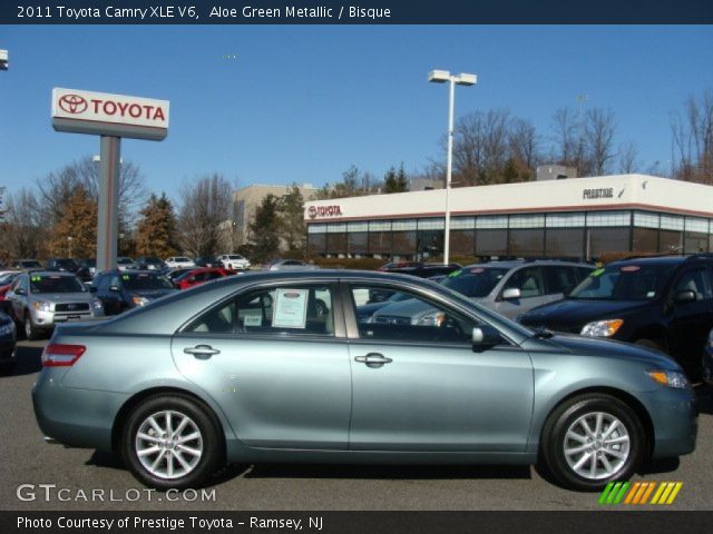 2011 Toyota Camry XLE V6 in Aloe Green Metallic