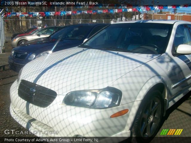 2001 Nissan Maxima SE in Icelandic White Pearl