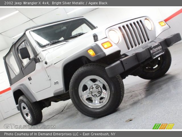 2002 Jeep Wrangler X 4x4 in Bright Silver Metallic