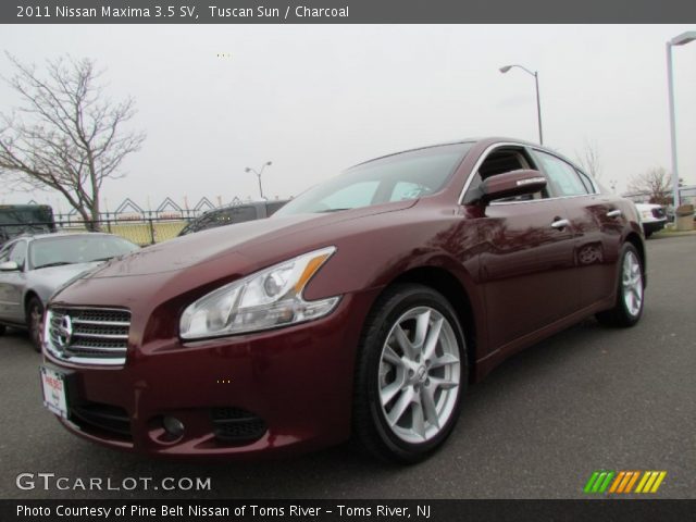 2011 Nissan Maxima 3.5 SV in Tuscan Sun