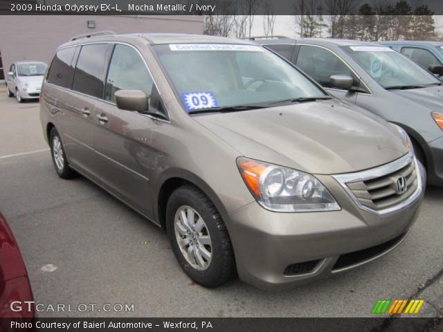 2009 Honda Odyssey EX-L in Mocha Metallic