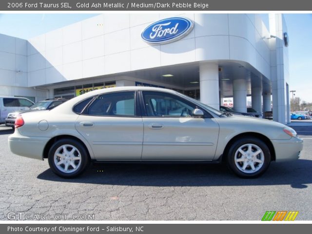 2006 Ford Taurus SEL in Gold Ash Metallic