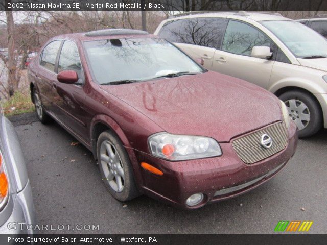 2002 Nissan Maxima SE in Merlot Red Metallic