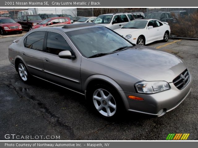 2001 Nissan Maxima SE in Gray Lustre Metallic