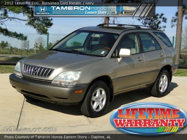 2003 Lexus RX 300 in Burnished Gold Metallic
