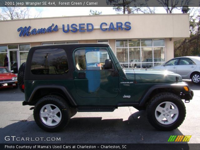 2001 Jeep Wrangler SE 4x4 in Forest Green