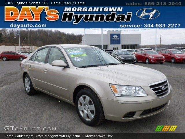 2009 Hyundai Sonata GLS in Camel Pearl