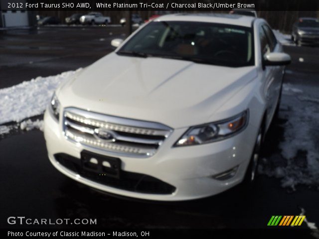 2012 Ford Taurus SHO AWD in White Platinum Tri-Coat