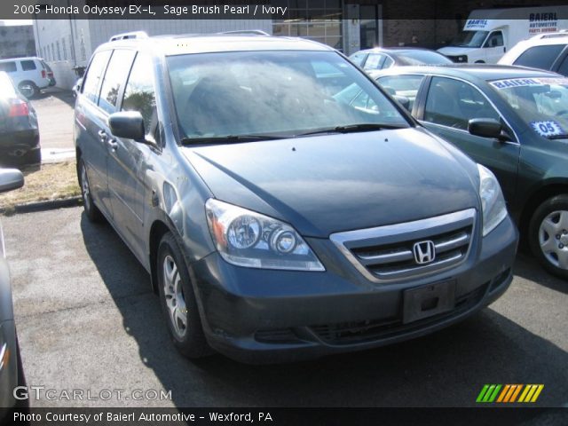 2005 Honda Odyssey EX-L in Sage Brush Pearl