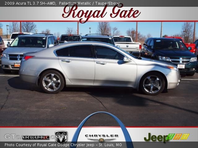 2009 Acura TL 3.7 SH-AWD in Palladium Metallic