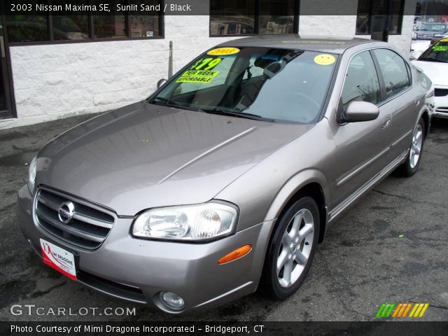 2003 Nissan Maxima SE in Sunlit Sand