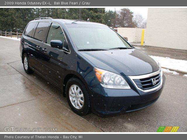 Honda odyssey bali blue #6