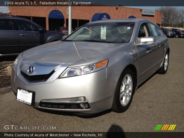 2009 Acura TL 3.5 in Palladium Metallic