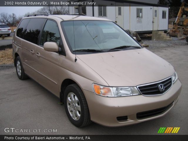 2002 Honda Odyssey EX in Mesa Beige Metallic