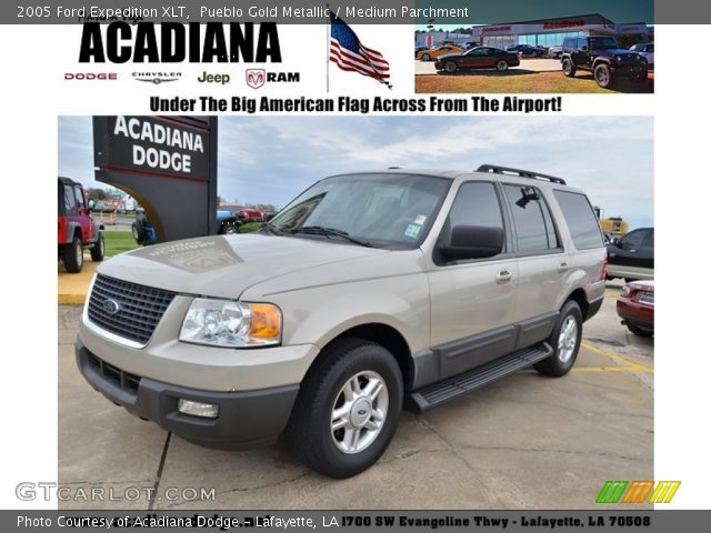 2005 Ford Expedition XLT in Pueblo Gold Metallic