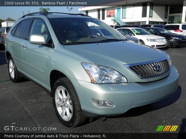 2009 Lexus RX 350 in Bamboo Pearl