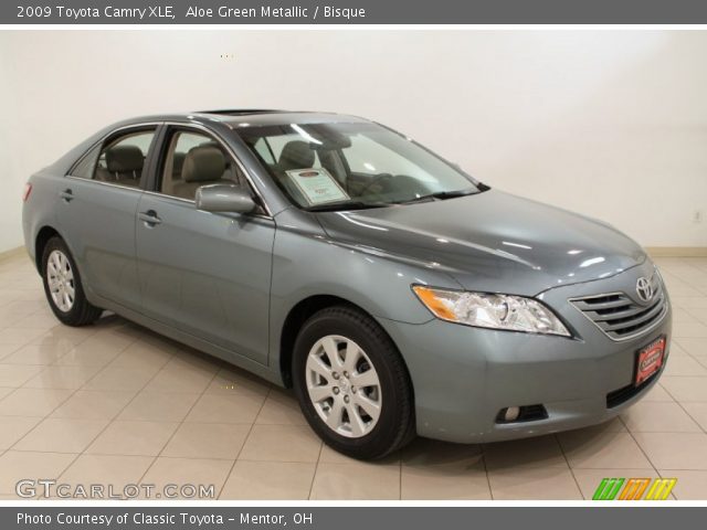 2009 Toyota Camry XLE in Aloe Green Metallic
